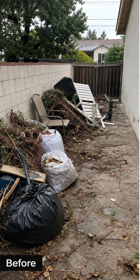 Before: side yard full of yard waste, an old bench, and trash bags